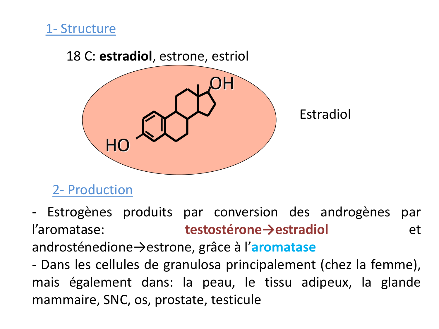 Hormones sexuelles page 31