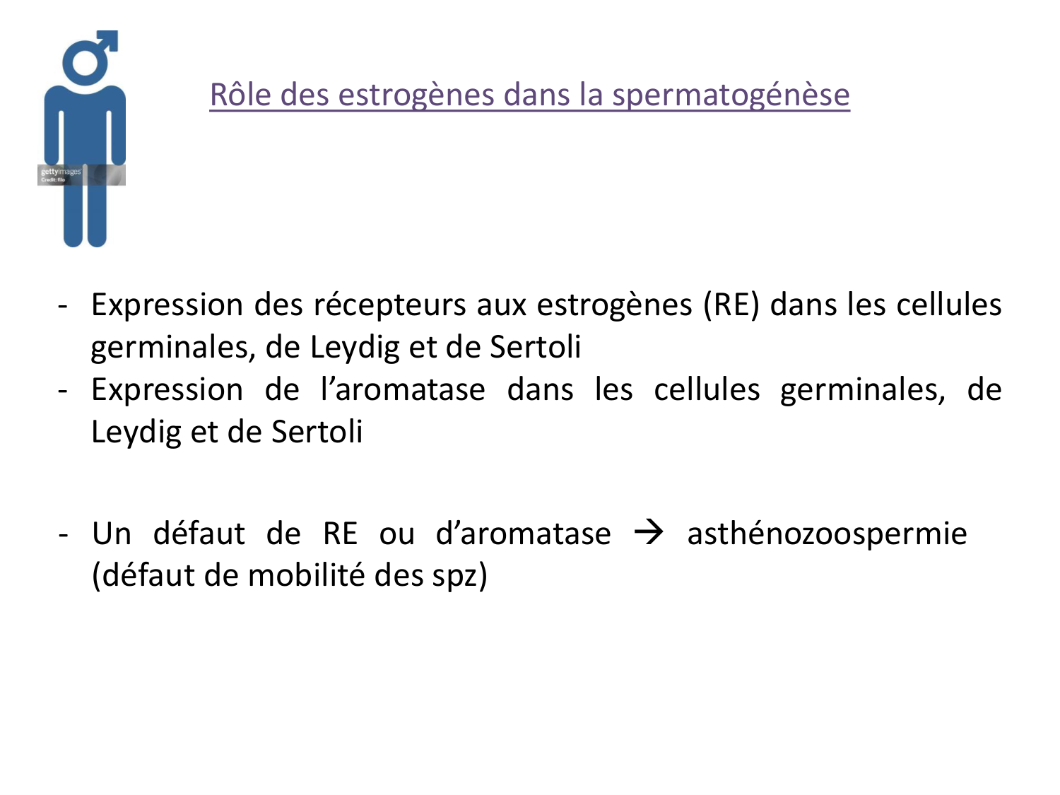 Hormones sexuelles page 39