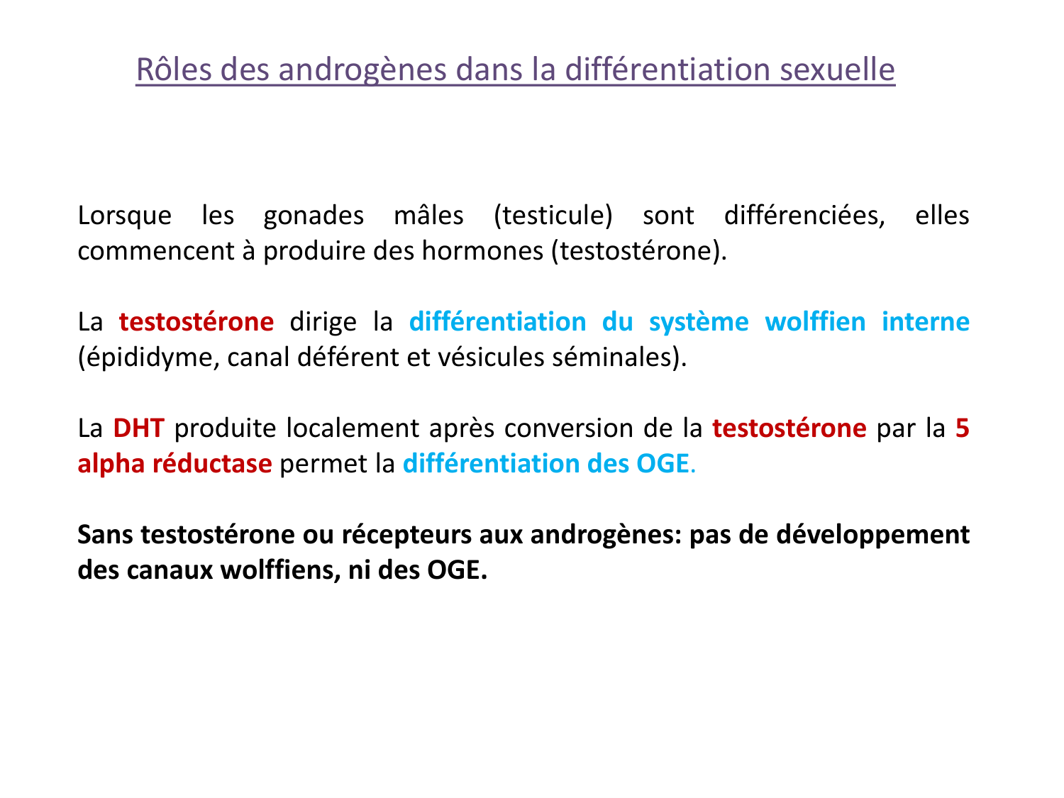Hormones sexuelles page 47