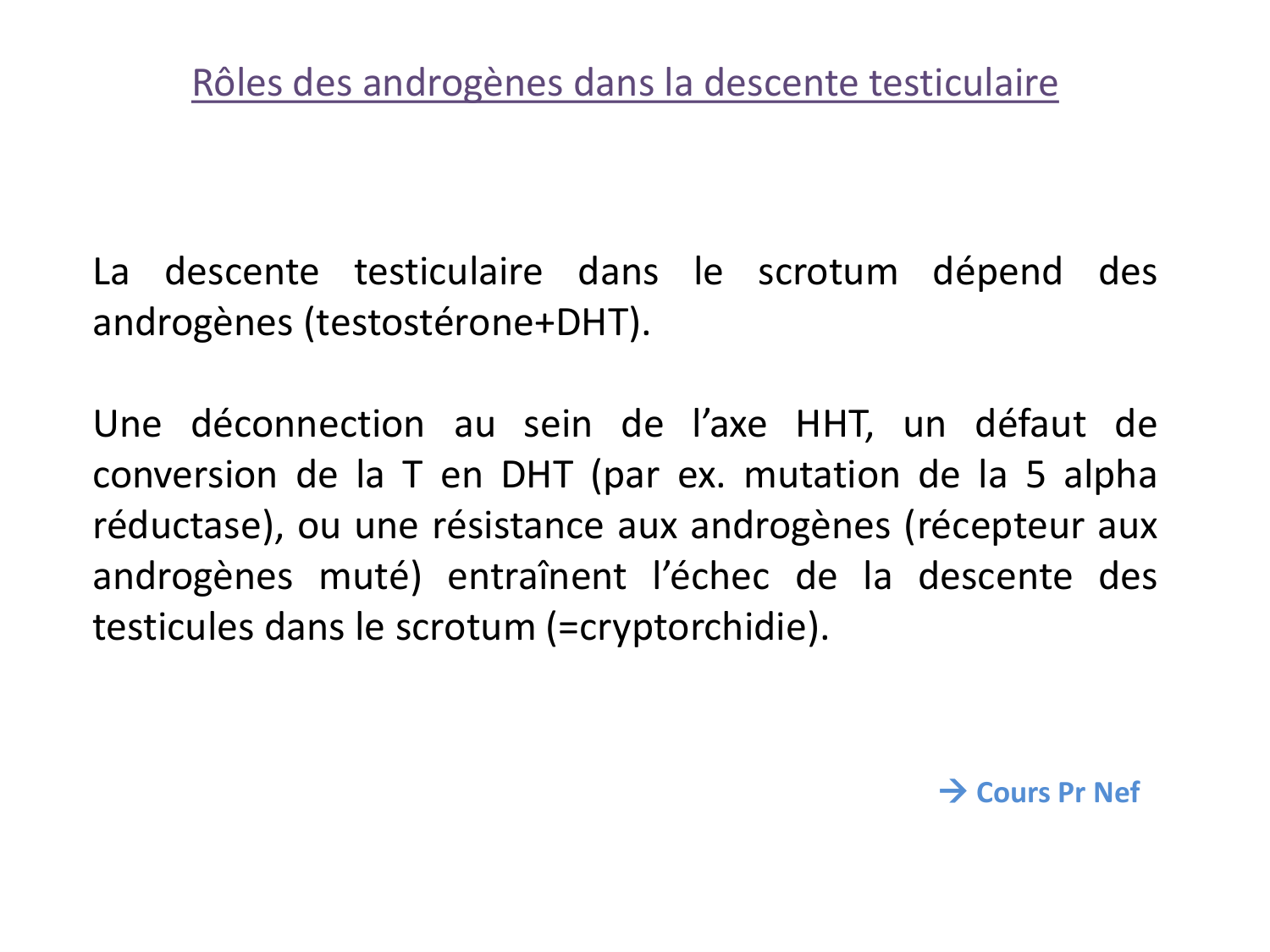 Hormones sexuelles page 50