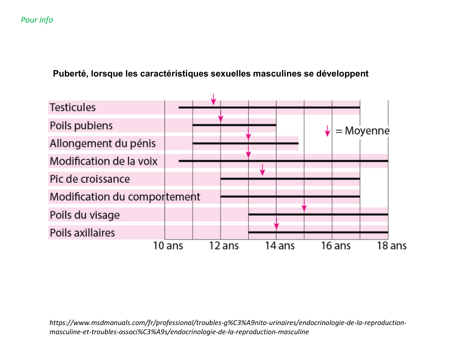 Hormones sexuelles page 52