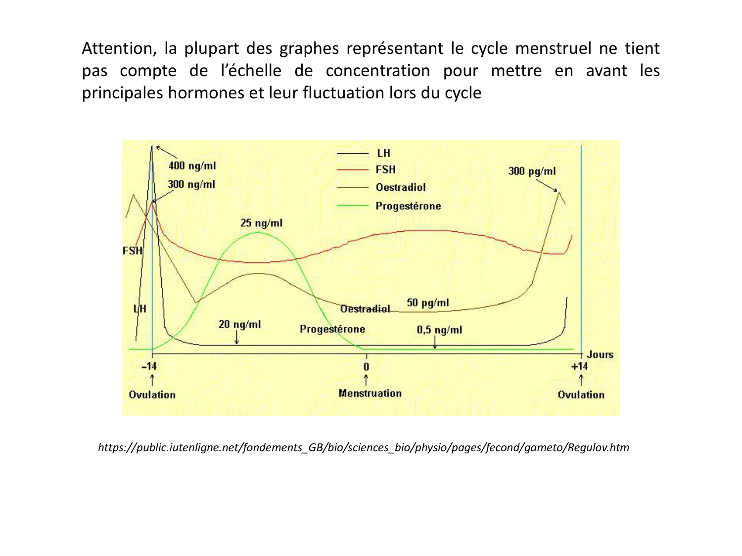 Hormones sexuelles page 56