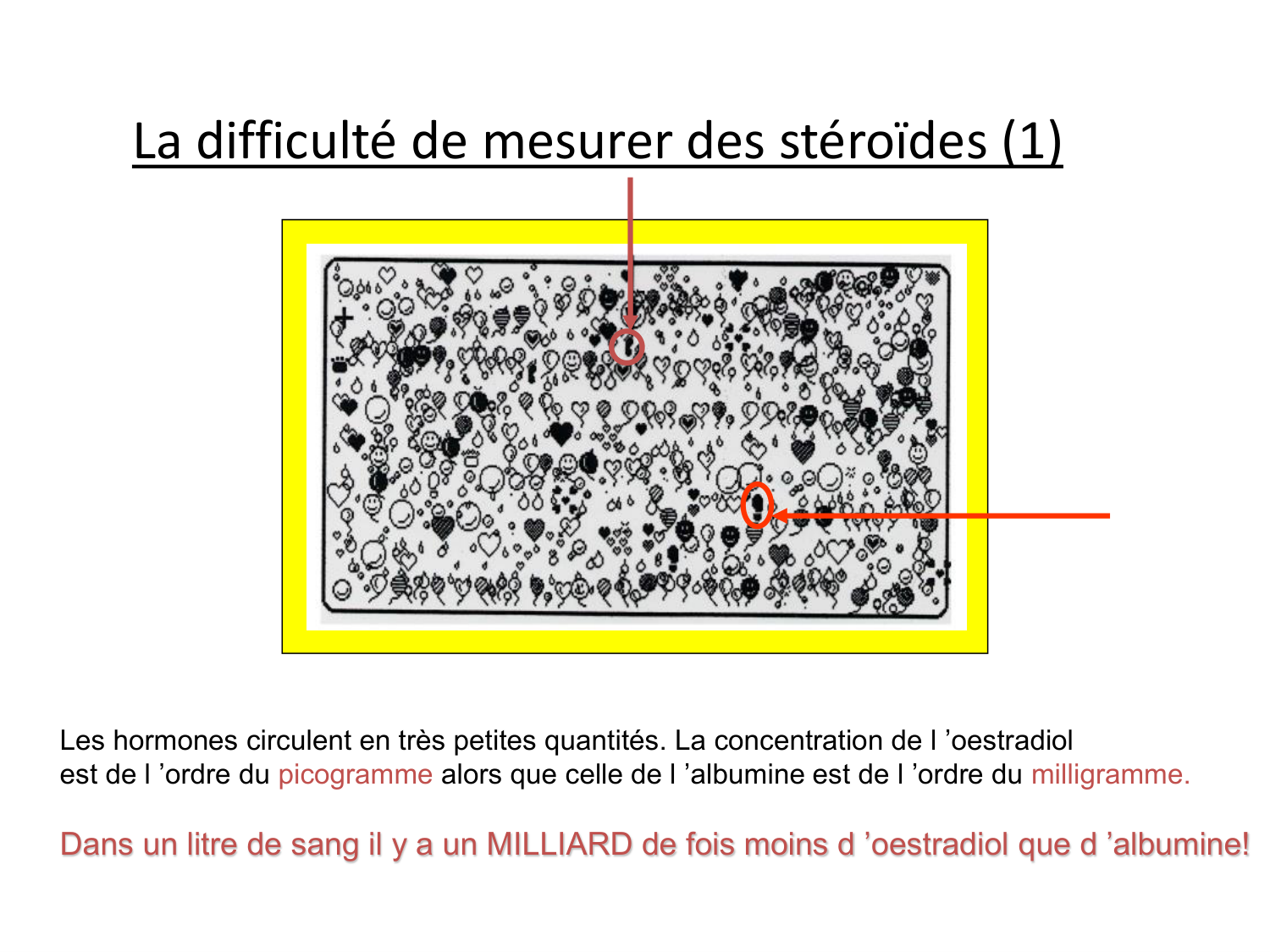 Hormones sexuelles page 59