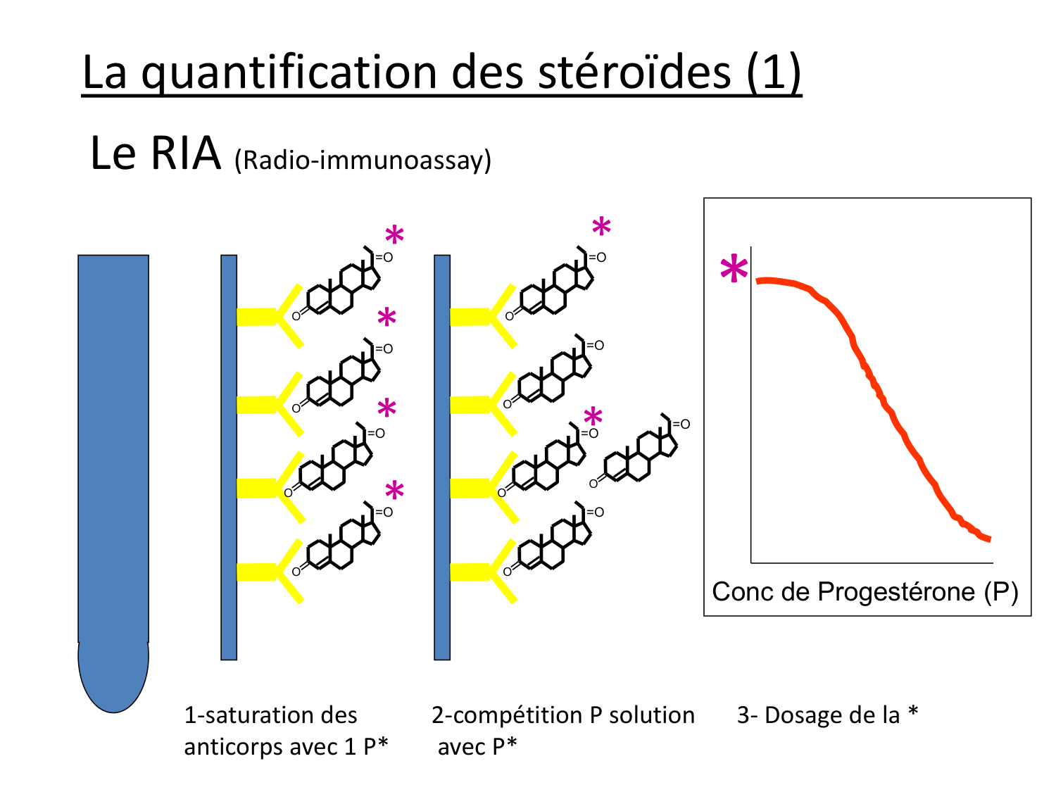 Hormones sexuelles page 62