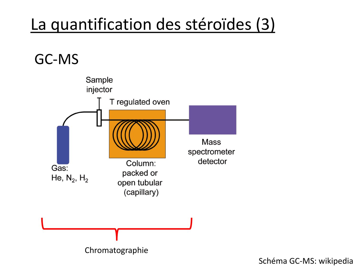 Hormones sexuelles page 63
