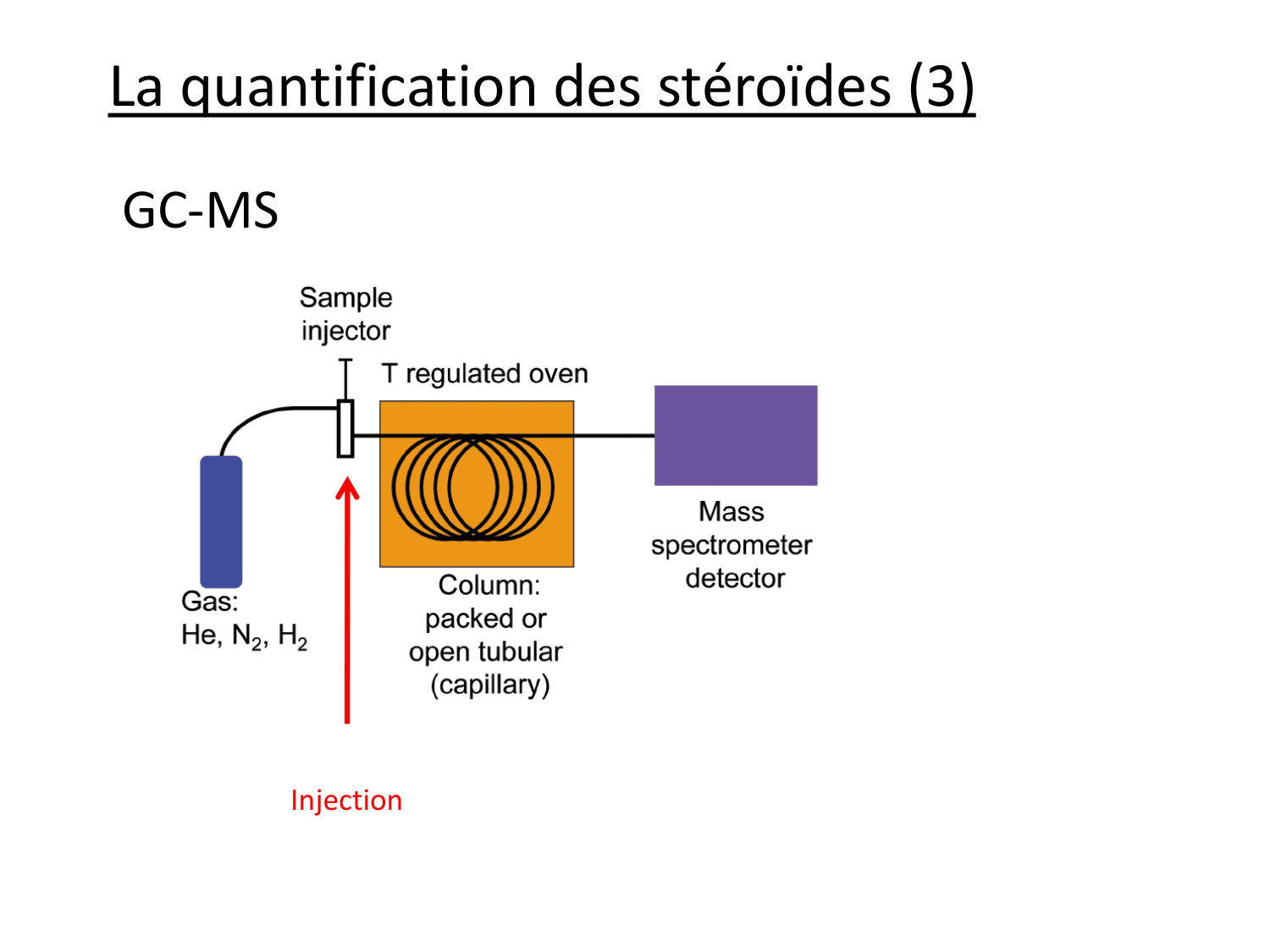 Hormones sexuelles page 64