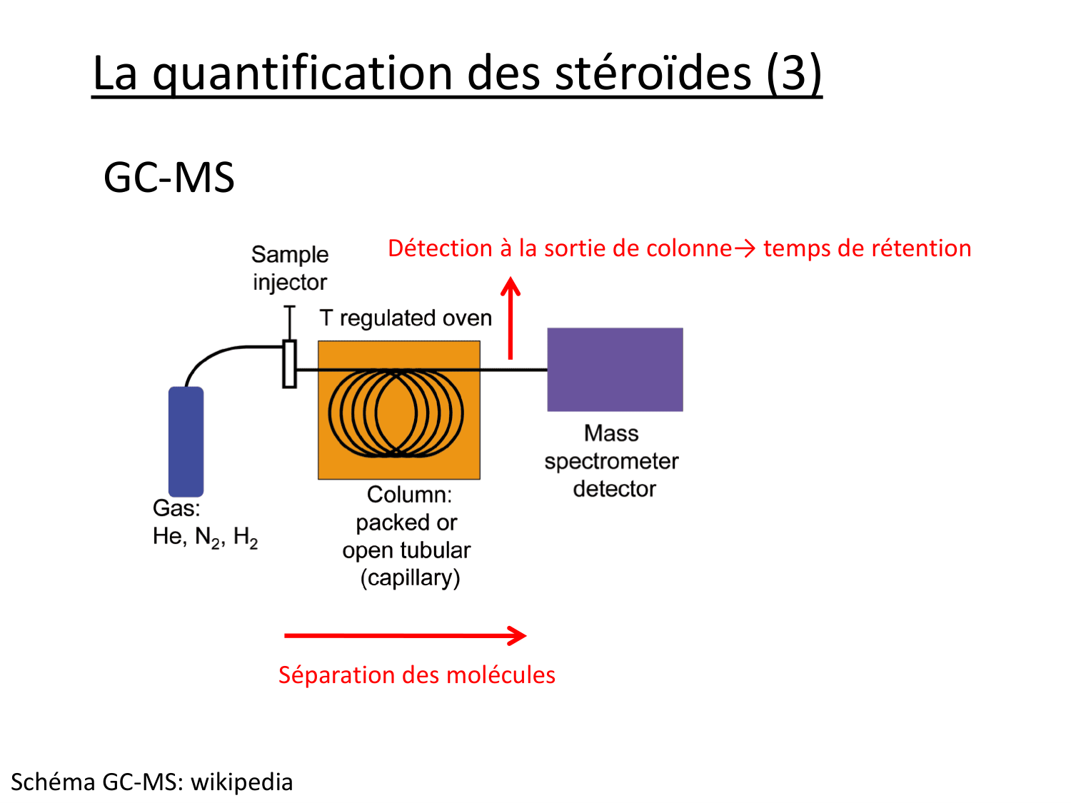 Hormones sexuelles page 65