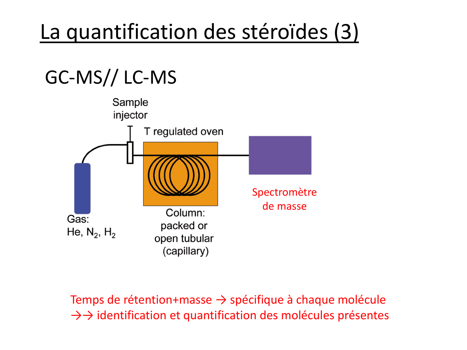 Hormones sexuelles page 66