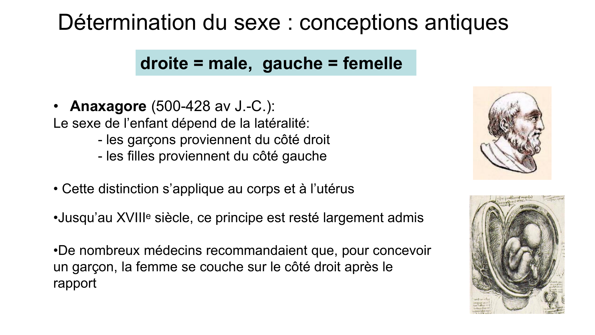 Développement sexuel page 3