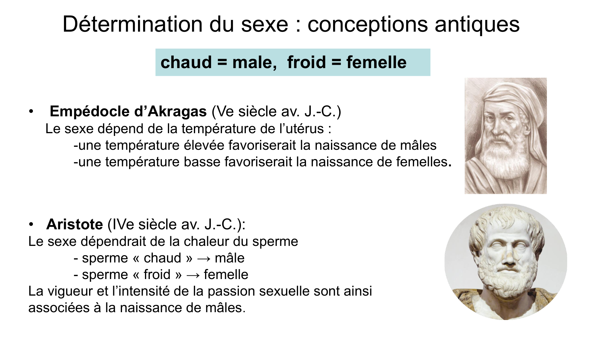 Développement sexuel page 4