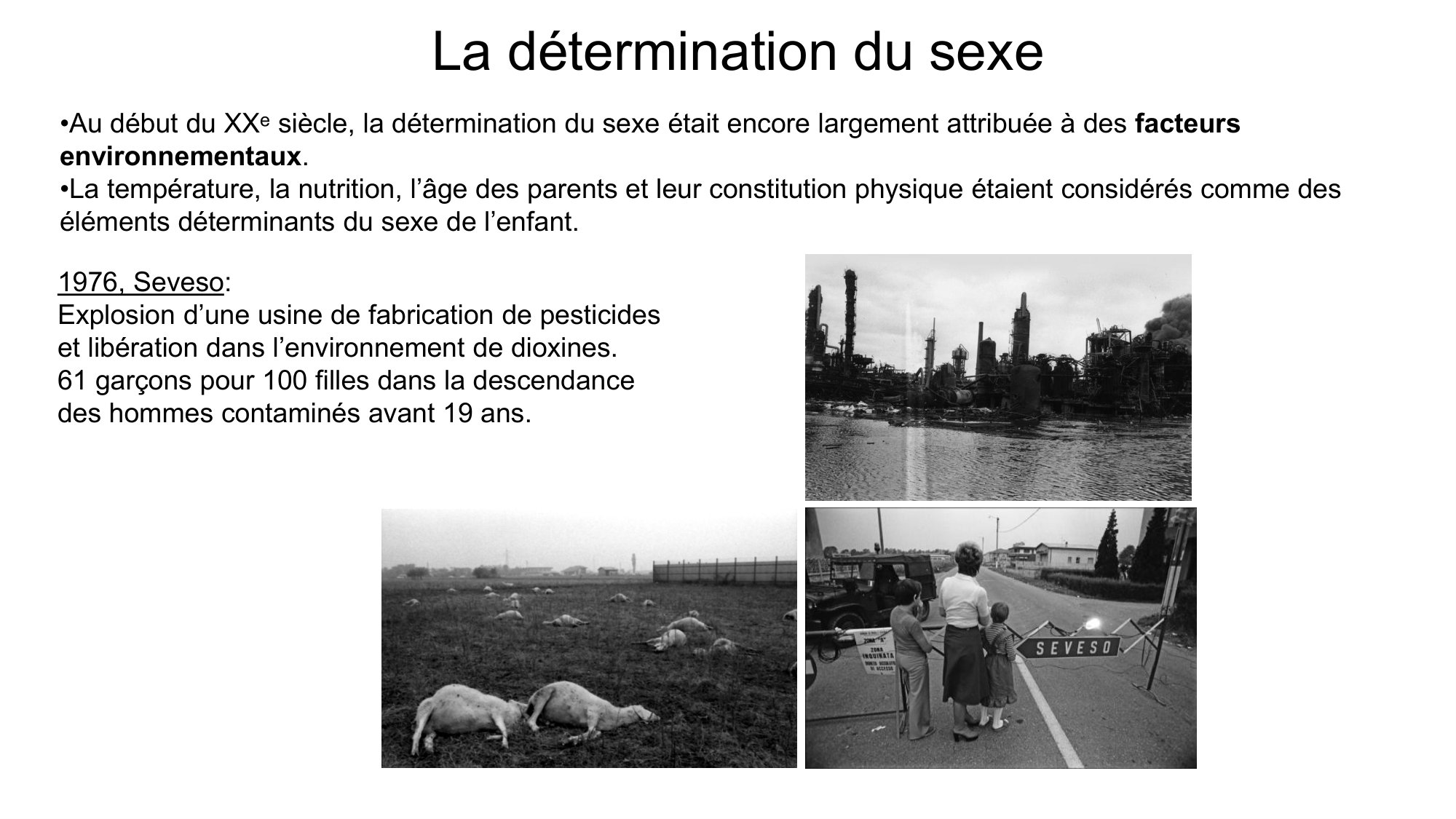 Développement sexuel page 6