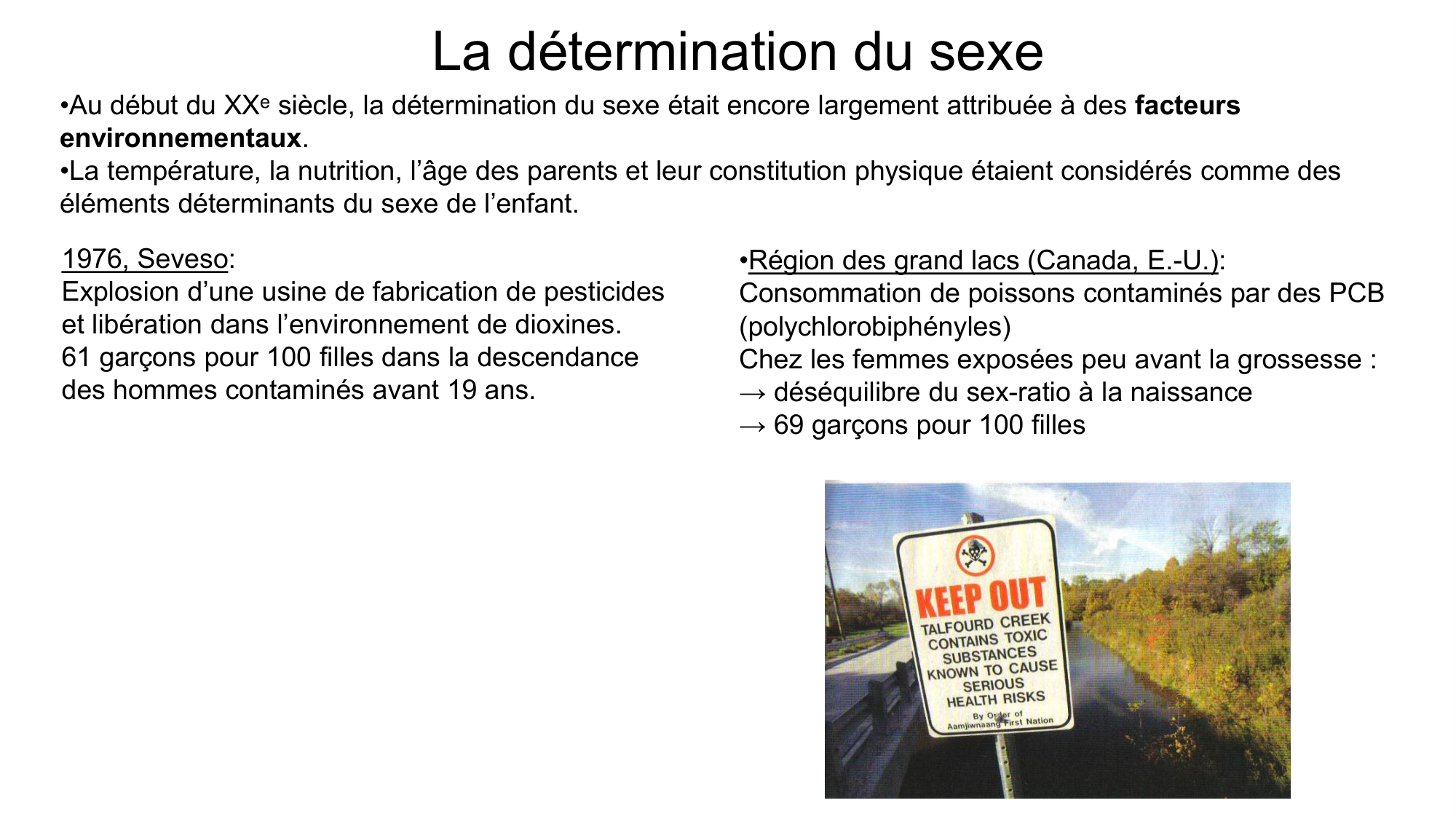 Développement sexuel page 7