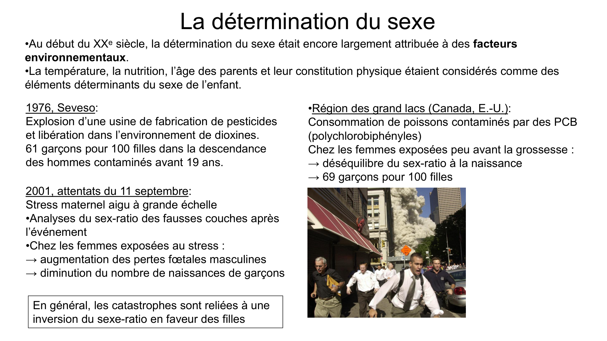 Développement sexuel page 8