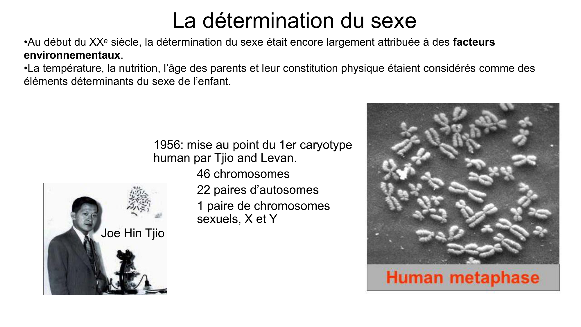 Développement sexuel page 9