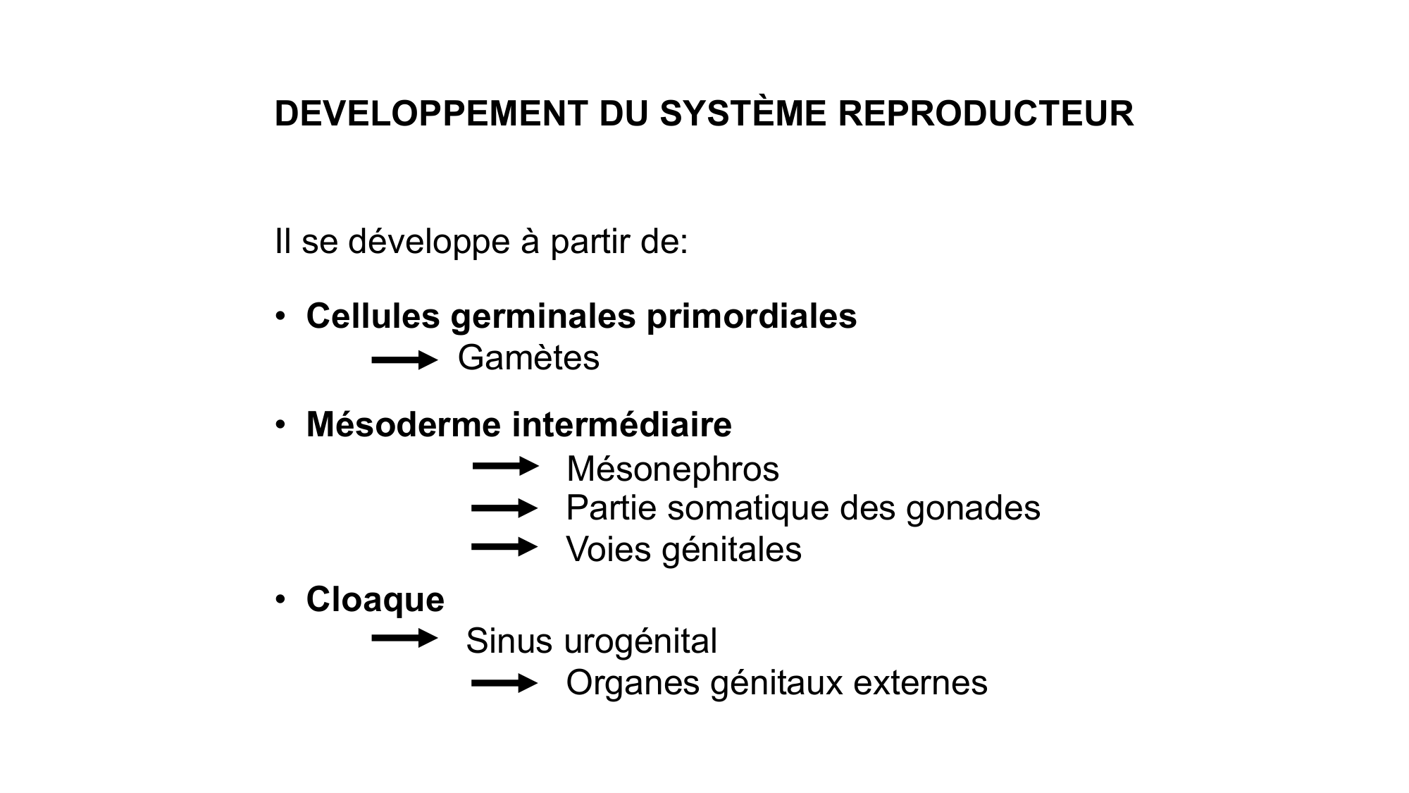 Développement sexuel page 16