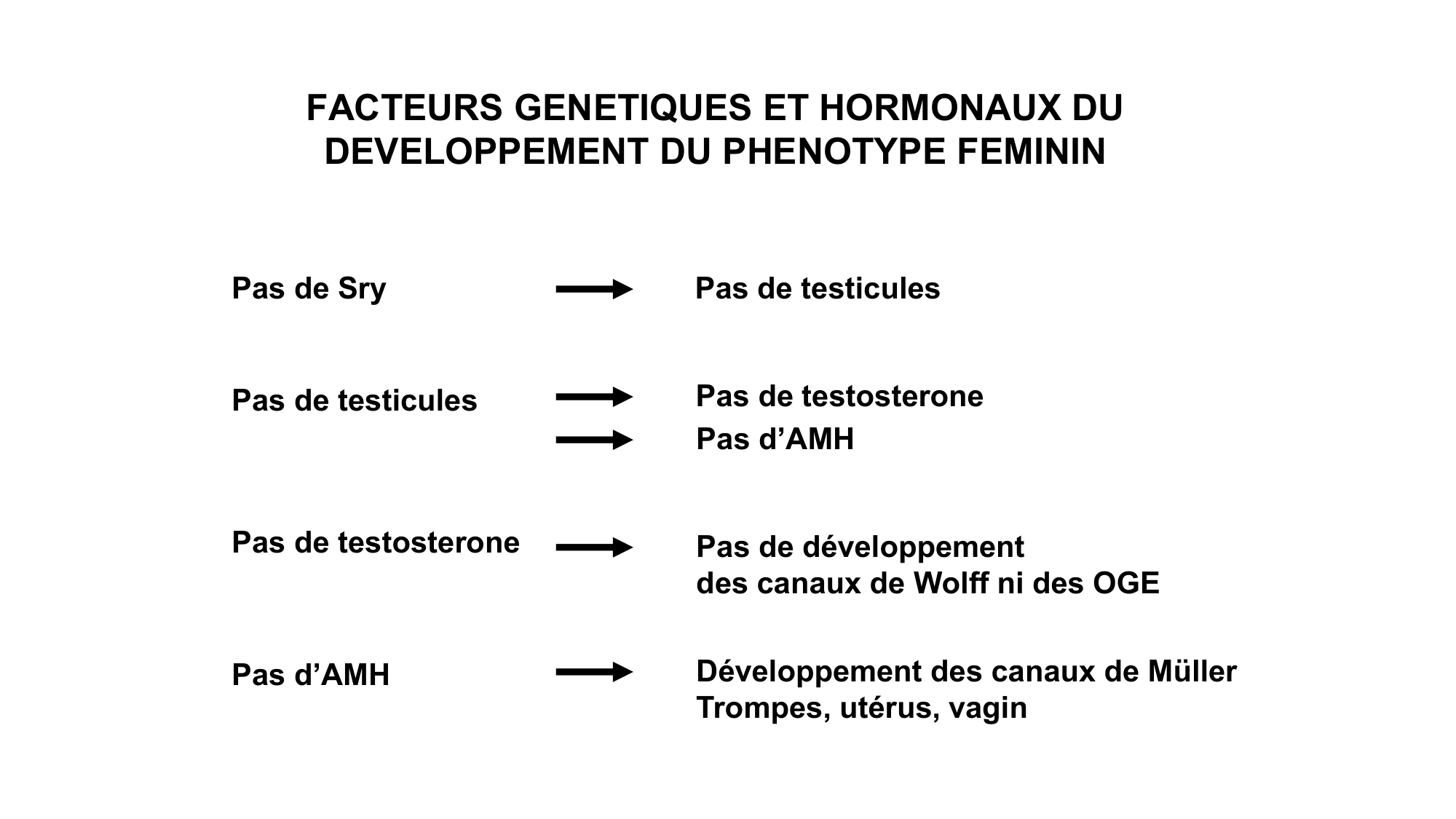Développement sexuel page 44