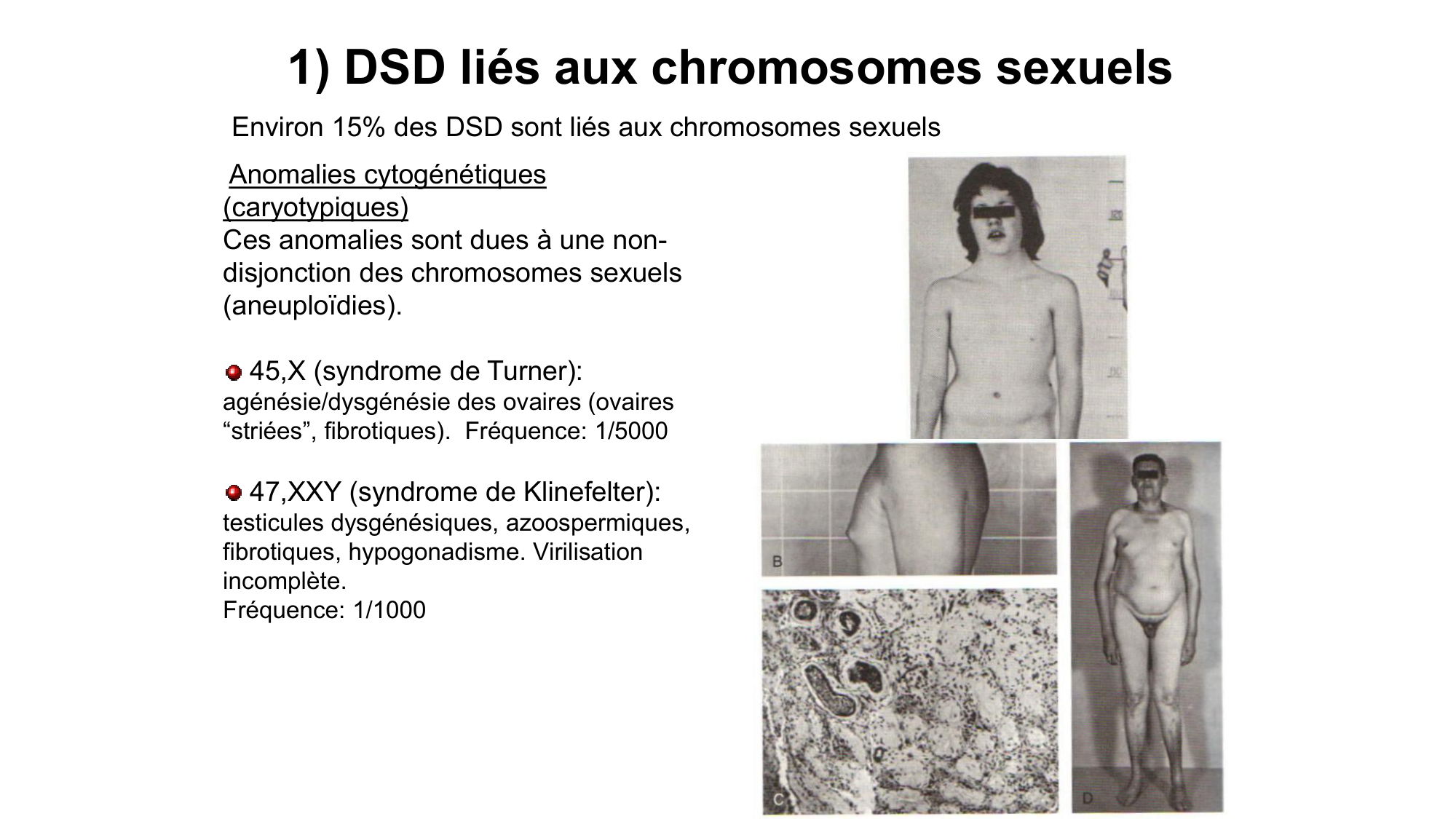 Développement sexuel page 66