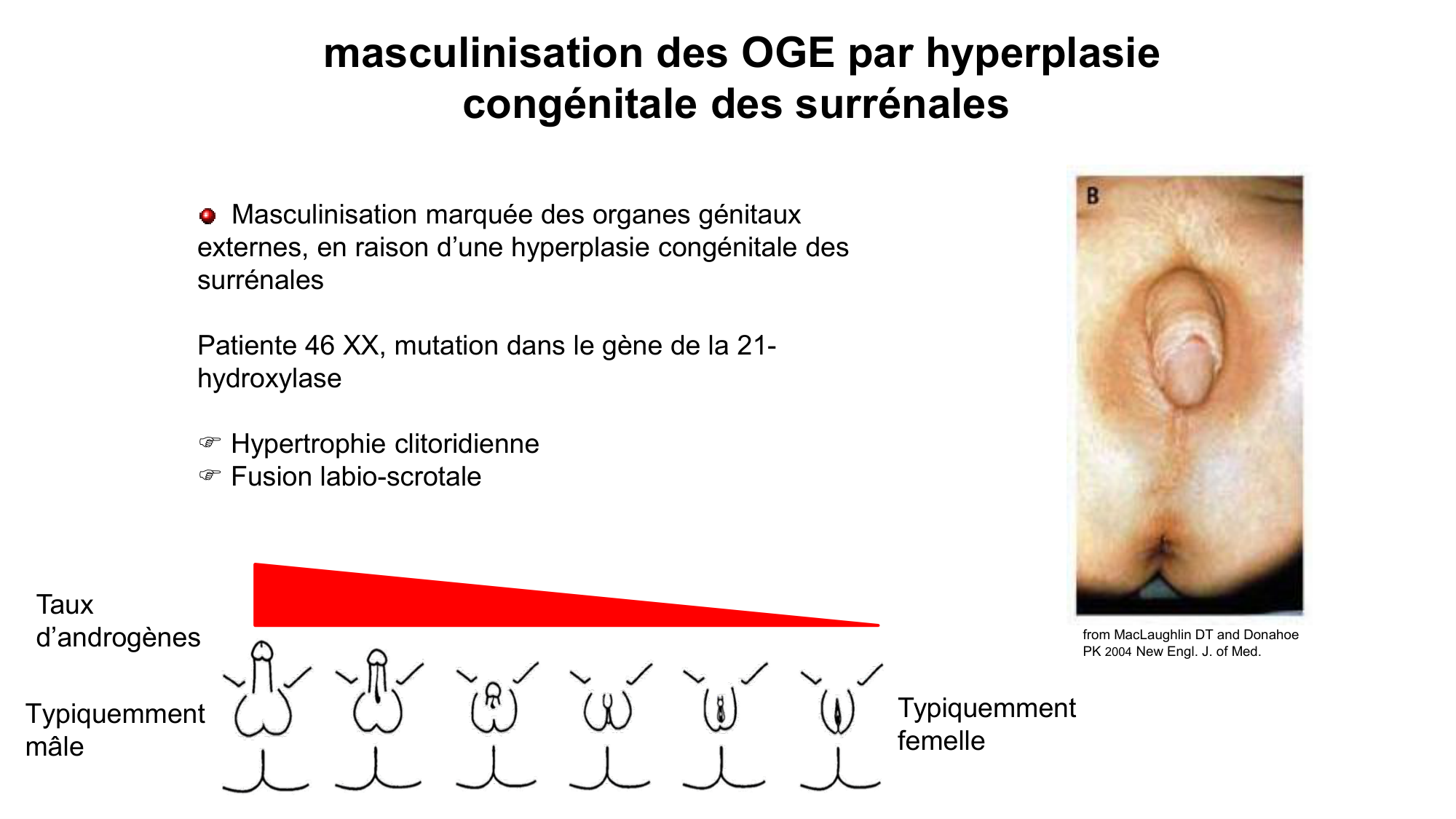 Développement sexuel page 69