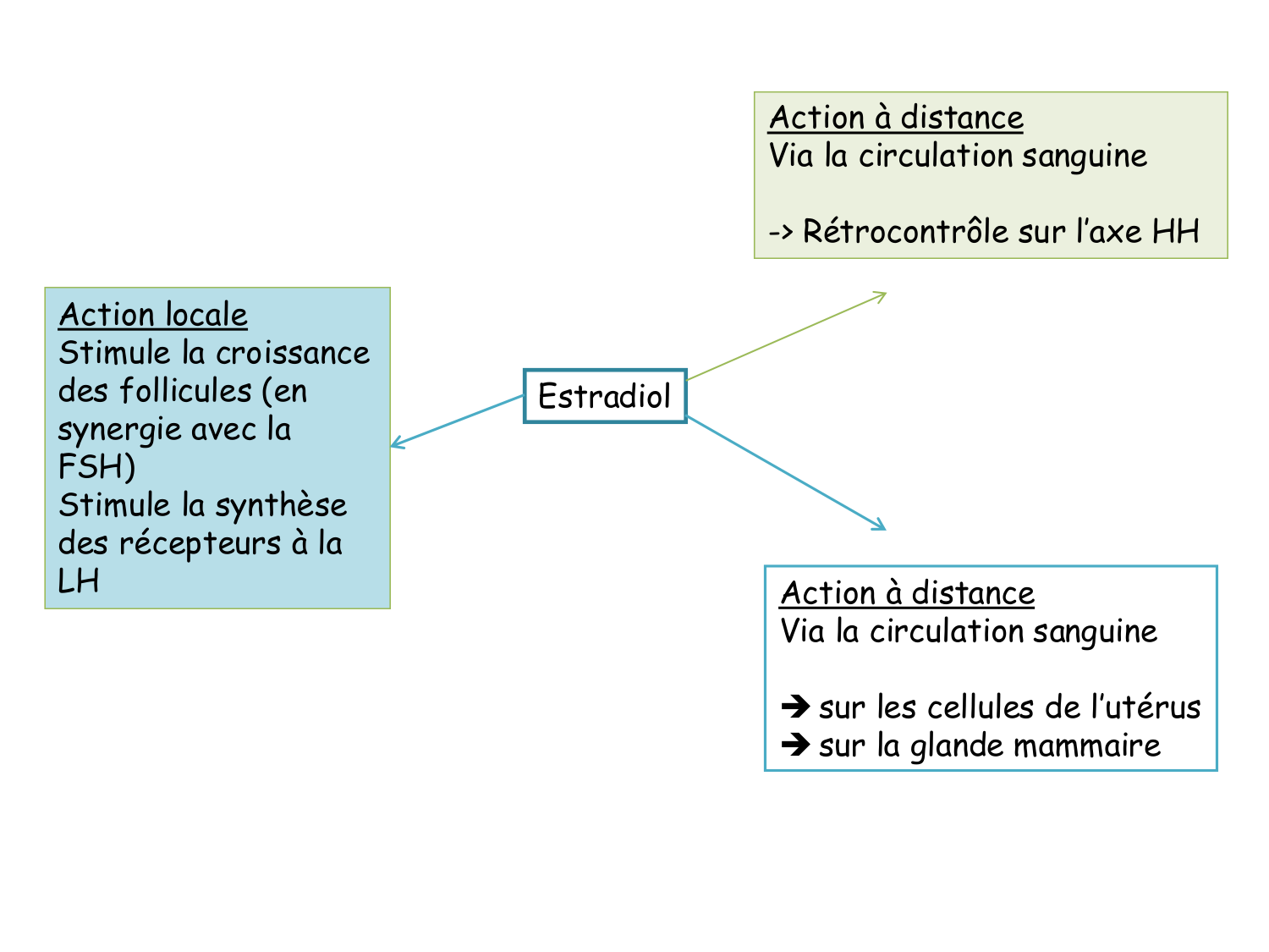 Physiologie reproductive féminine page 27