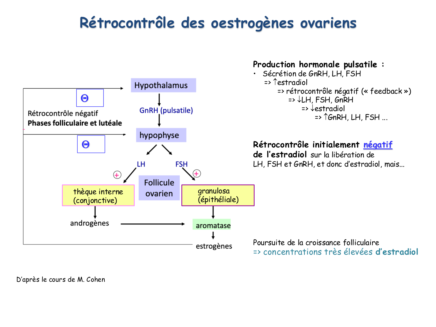 Physiologie reproductive féminine page 29