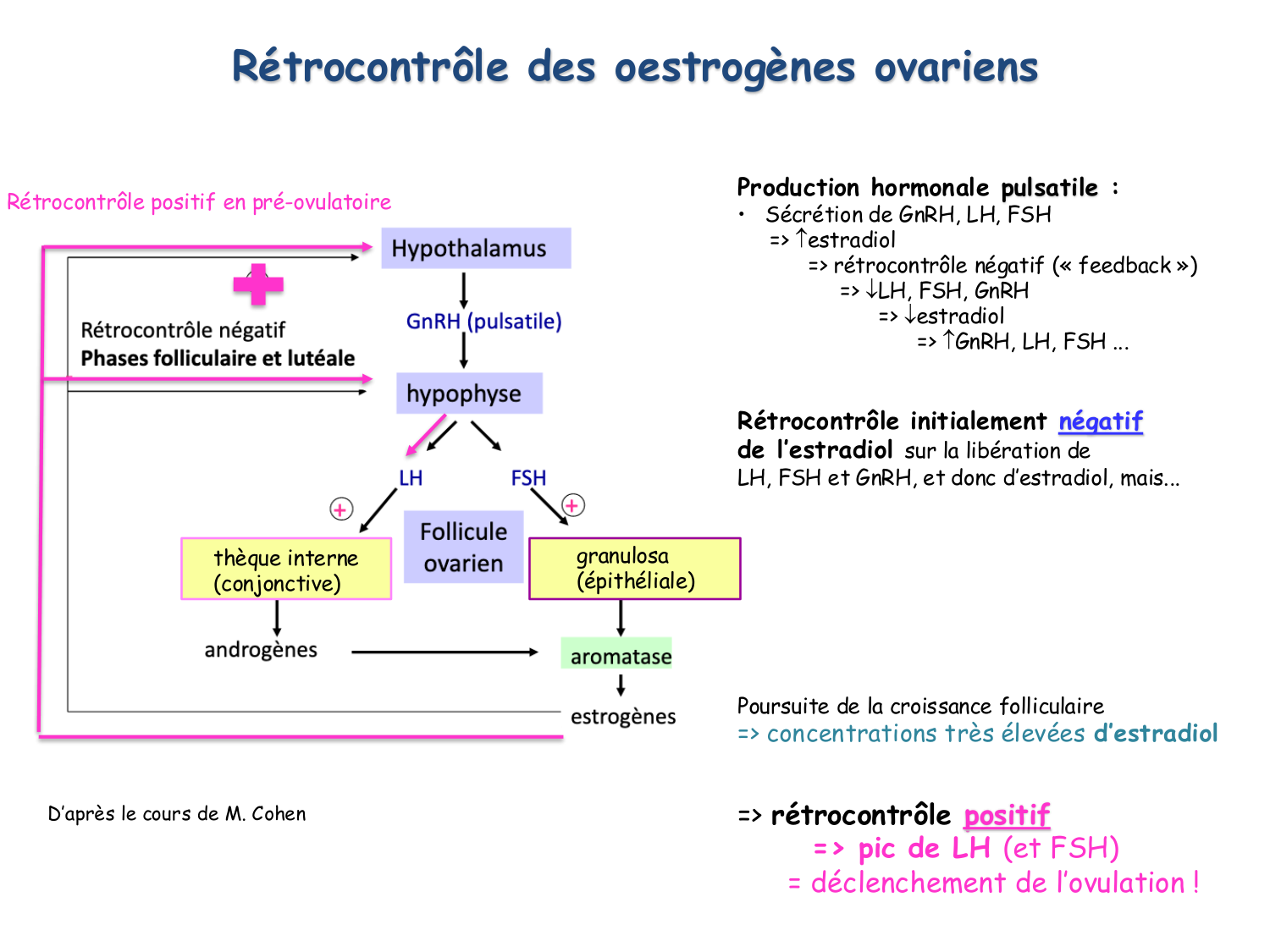 Physiologie reproductive féminine page 30