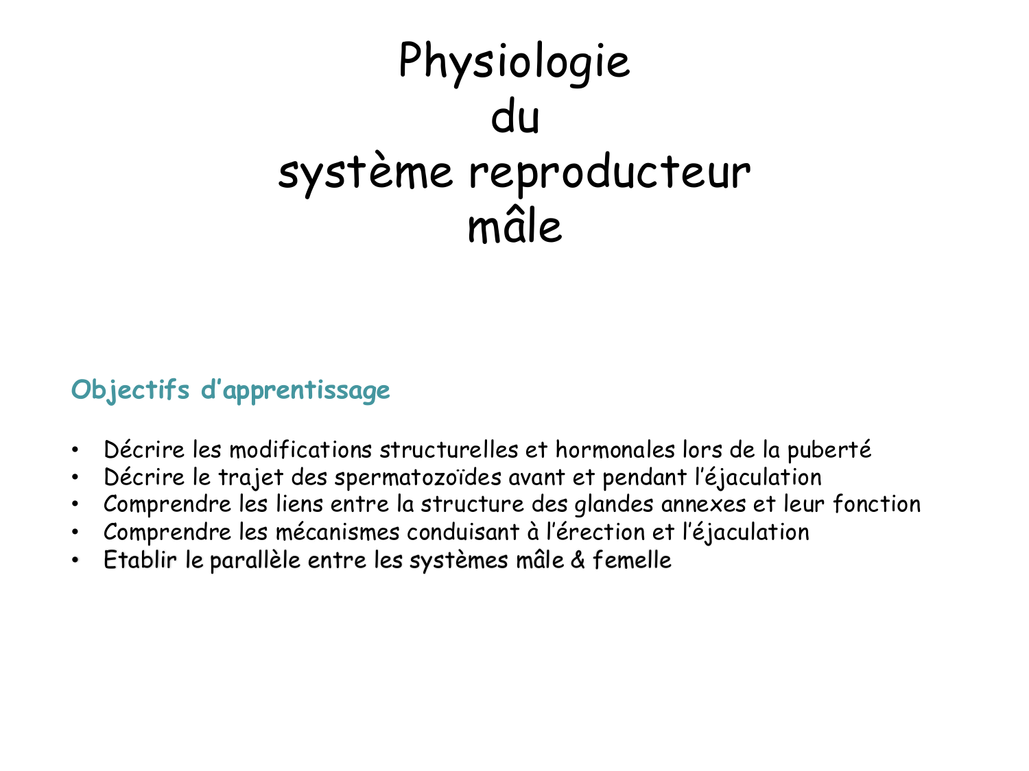 Physiologie reproductive masculine page 2
