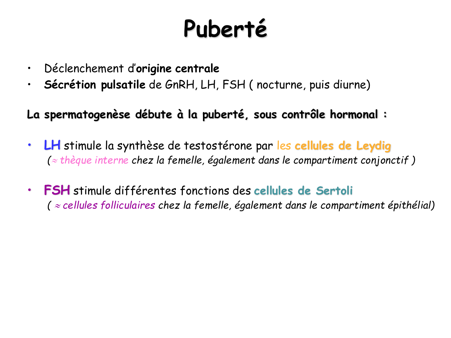 Physiologie reproductive masculine page 11