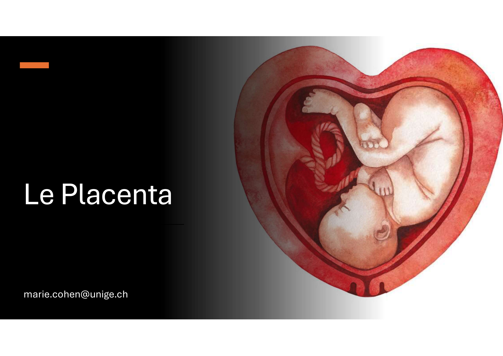 Placenta page 1