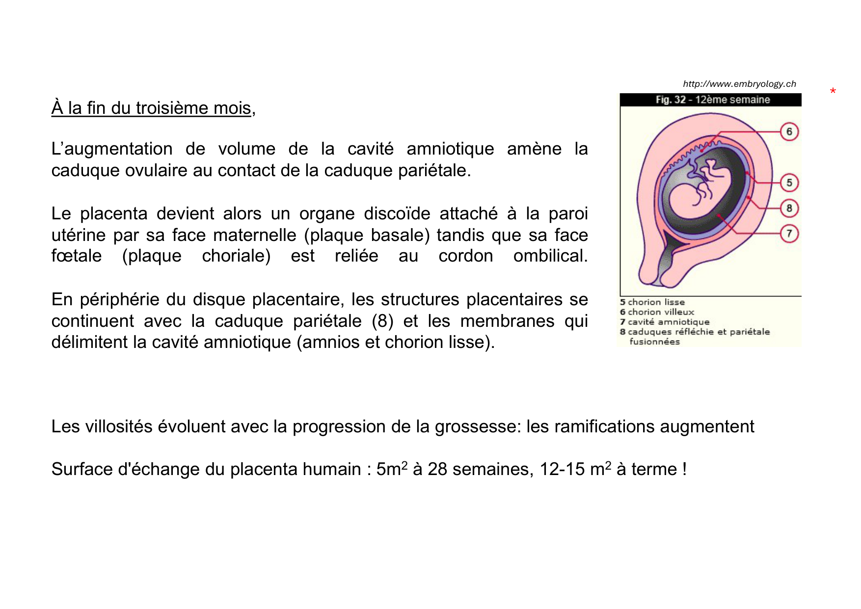 Placenta page 33