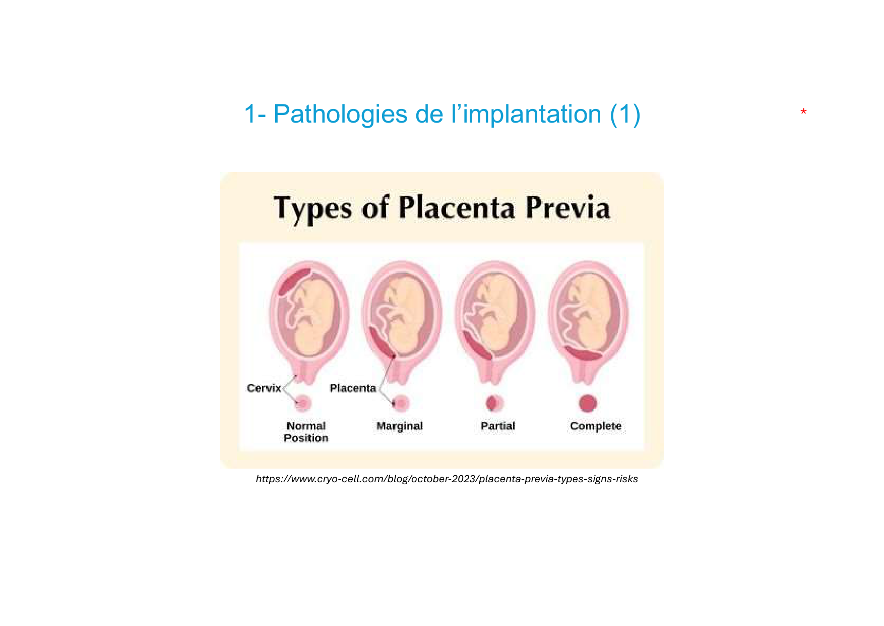 Placenta page 59