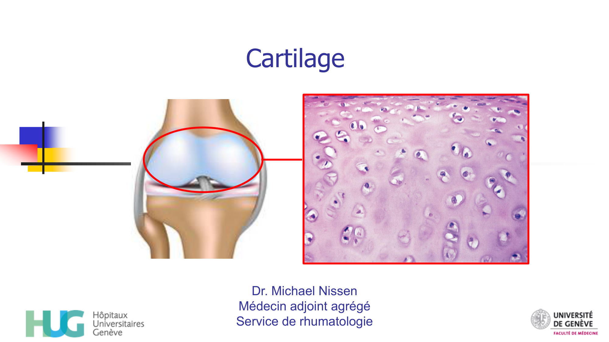 Cartilage page 1