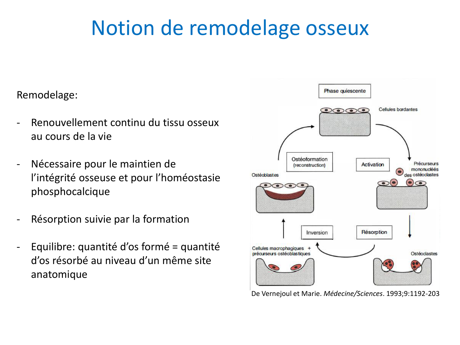 Cellules osseuses page 6