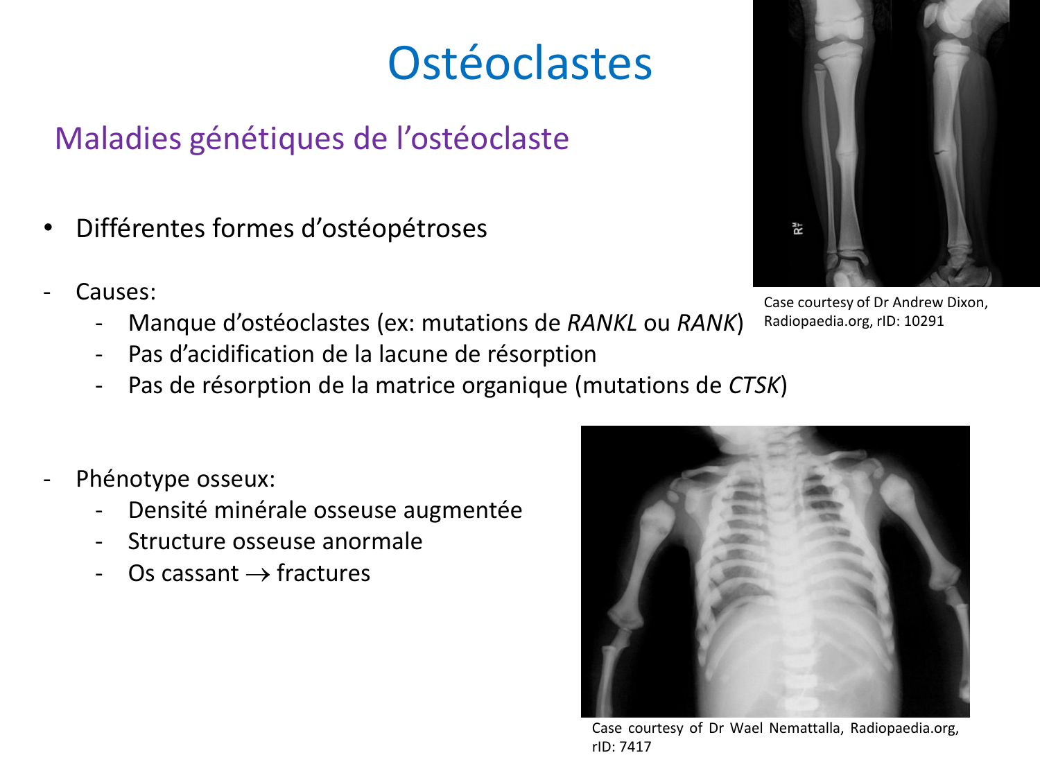 Cellules osseuses page 11