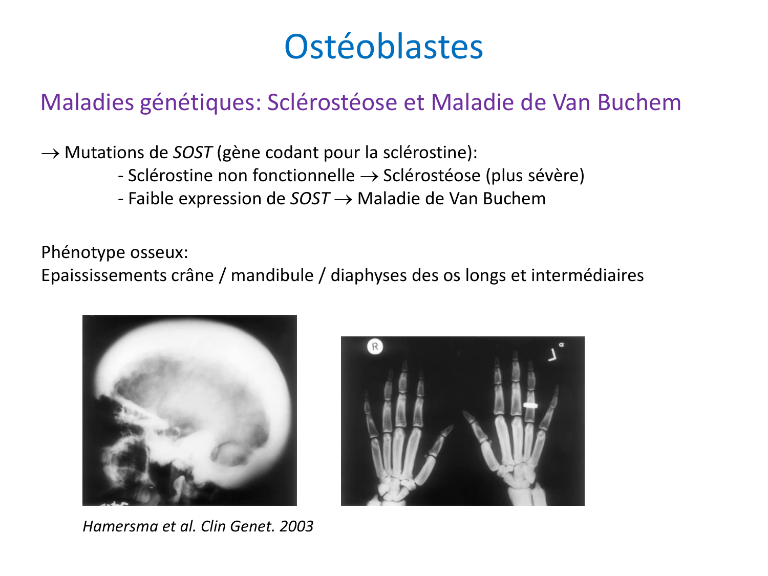 Cellules osseuses page 15