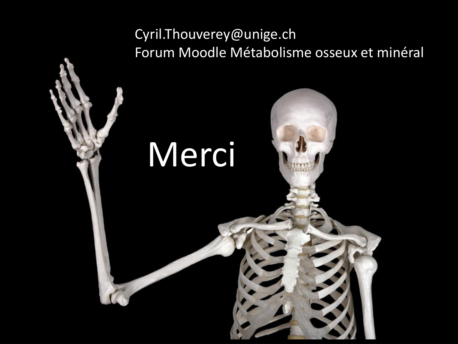 Cellules osseuses page 26