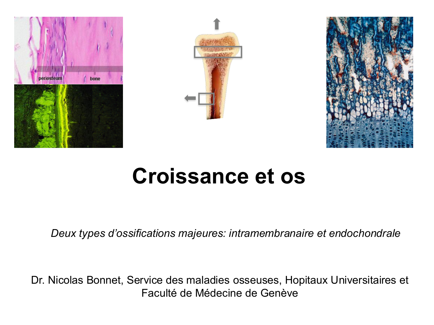 Croissance et os page 1