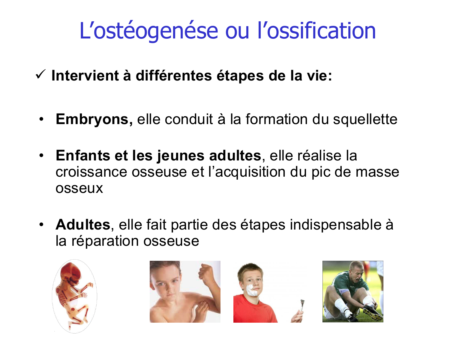 Croissance et os page 16