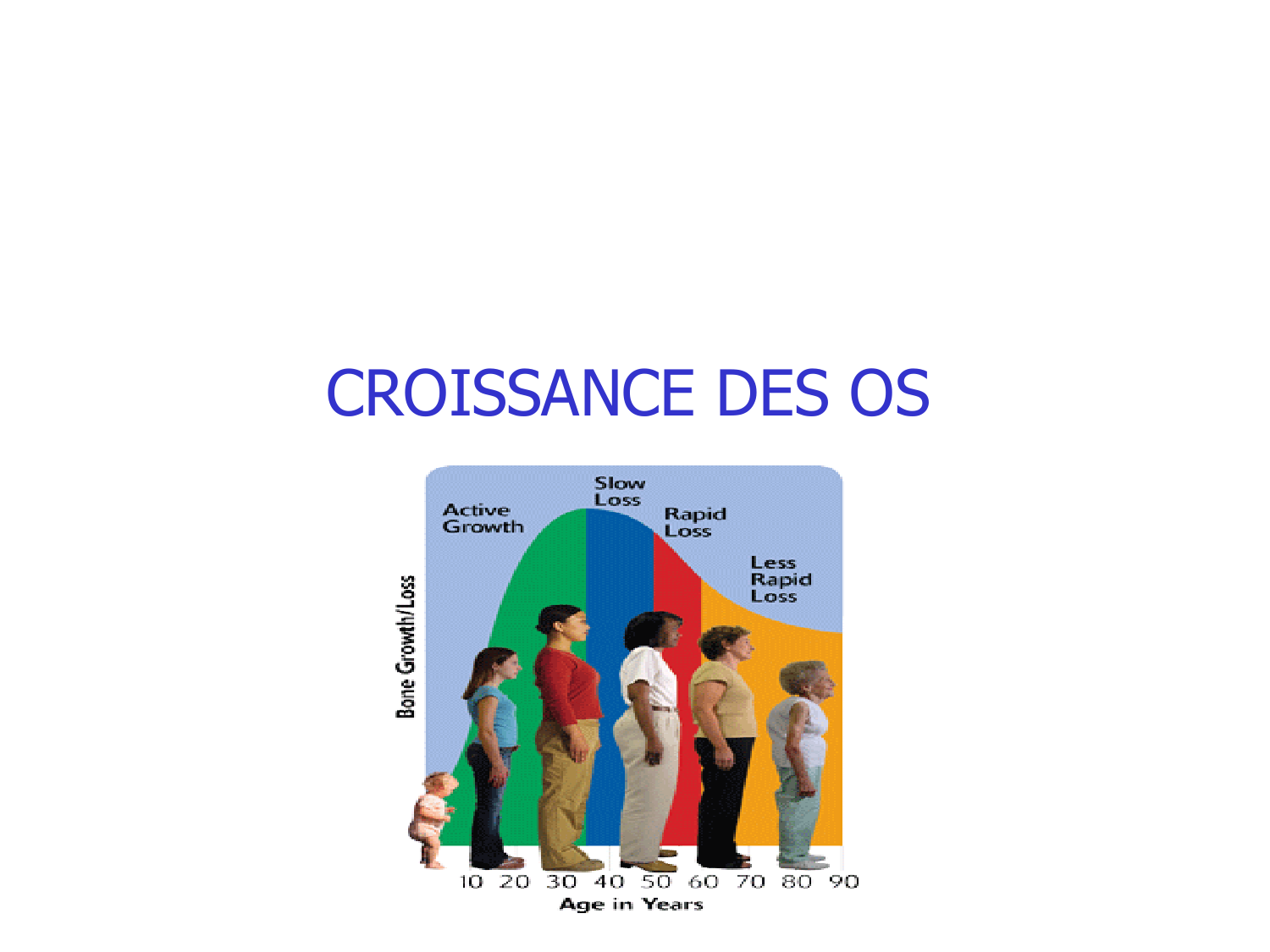 Croissance et os page 18