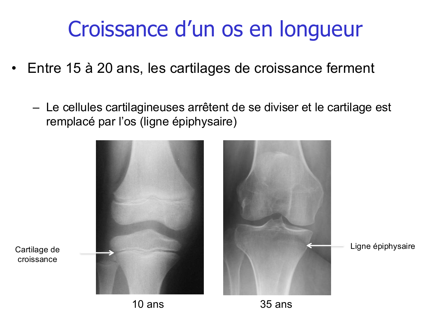 Croissance et os page 22