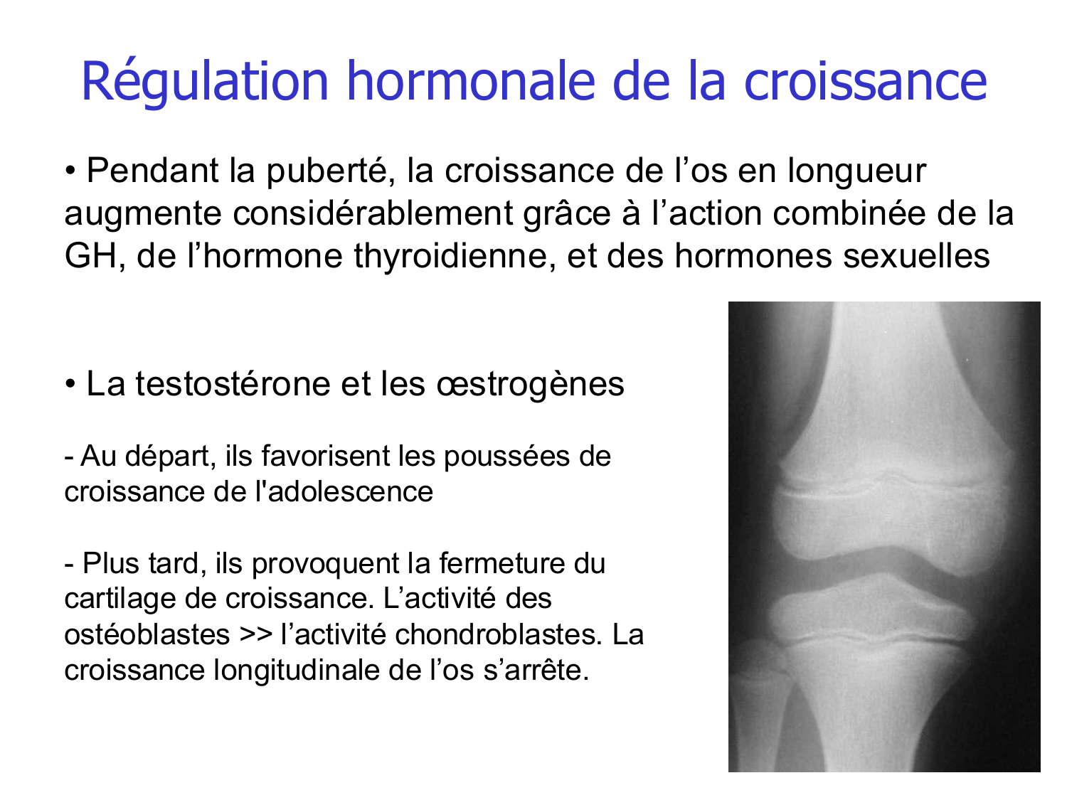 Croissance et os page 27