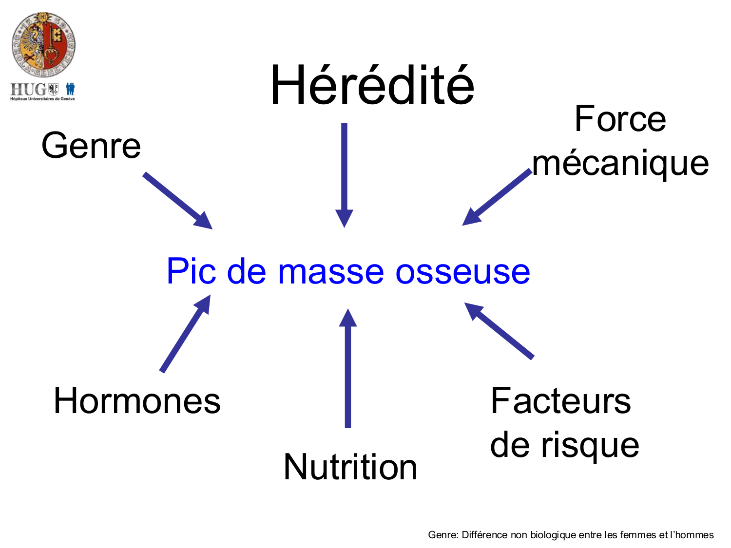 Croissance et os page 30