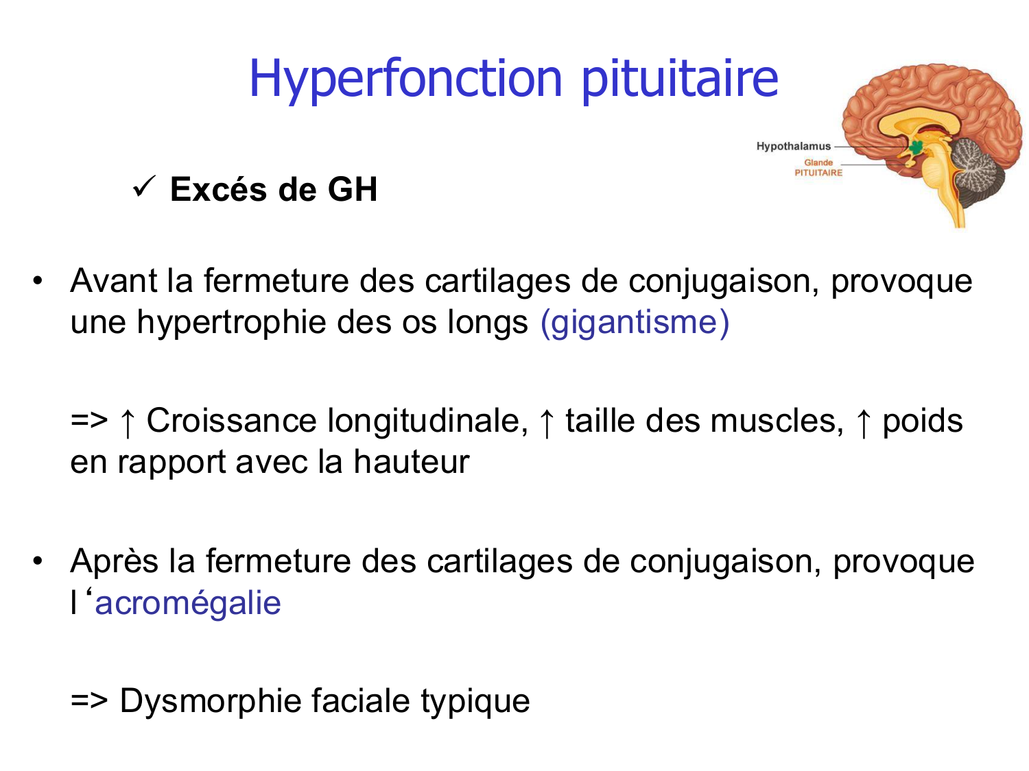 Croissance et os page 32