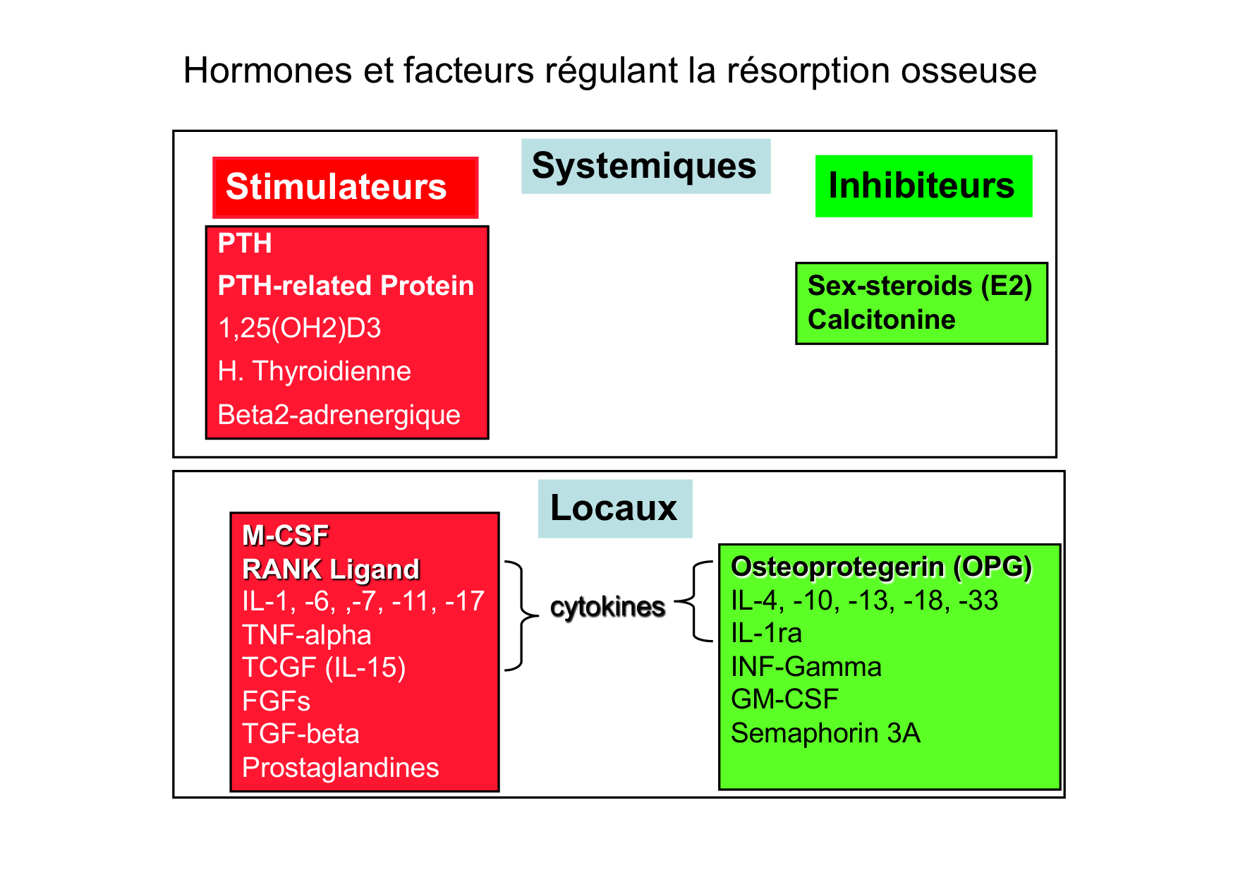 Remodelage osseux page 16