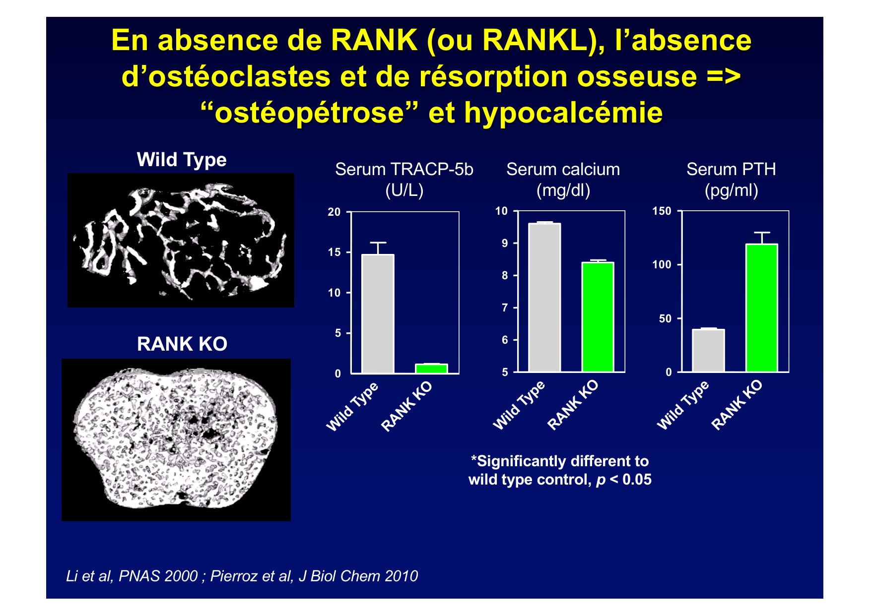 Remodelage osseux page 20