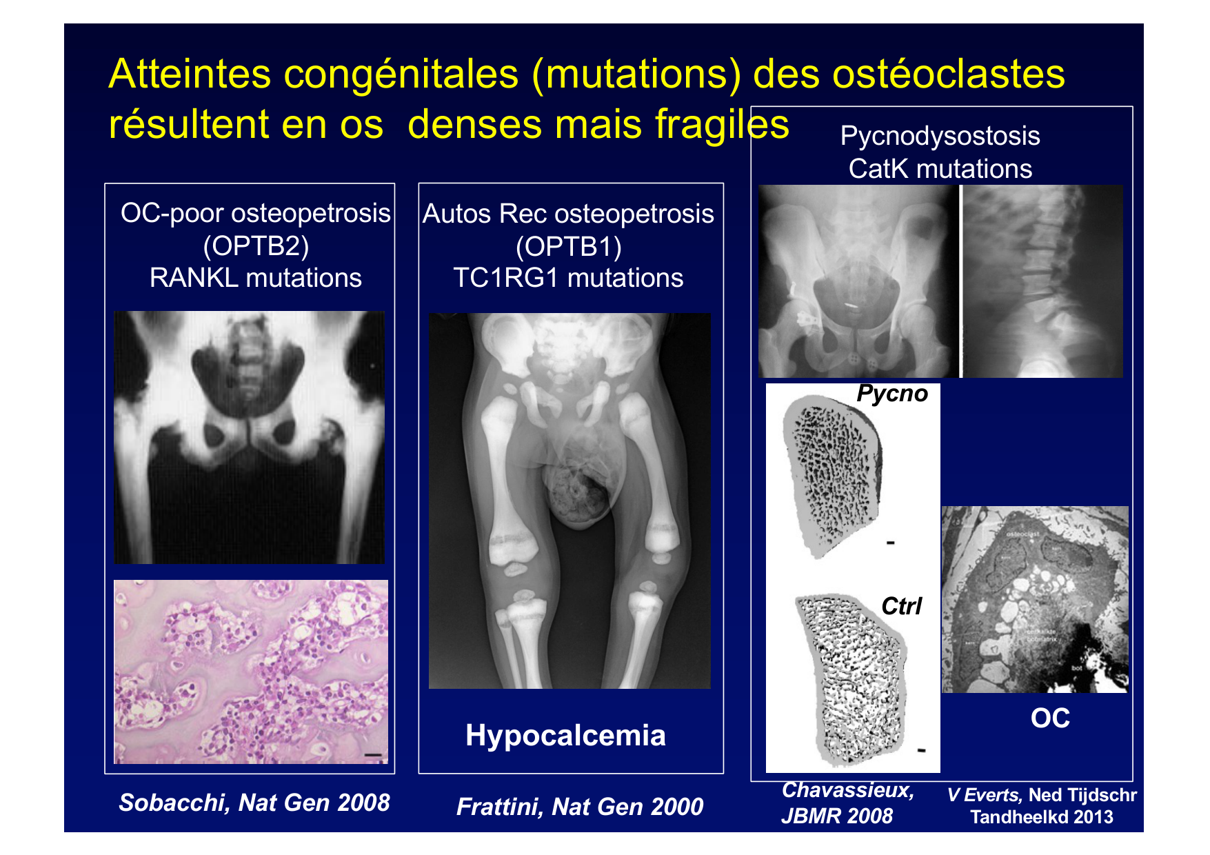 Remodelage osseux page 24