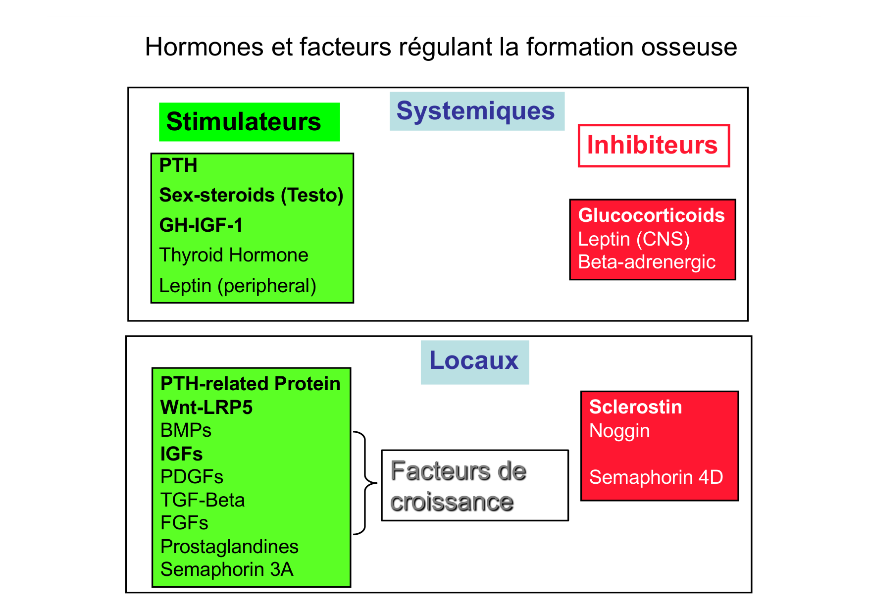 Remodelage osseux page 26
