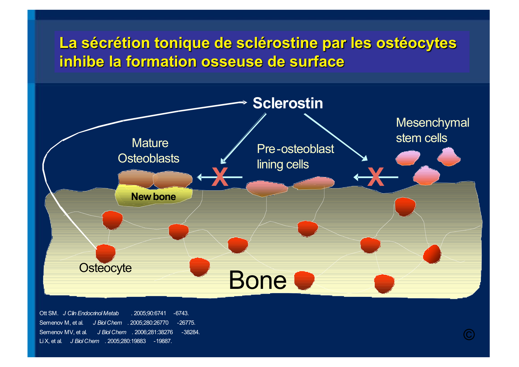Remodelage osseux page 31