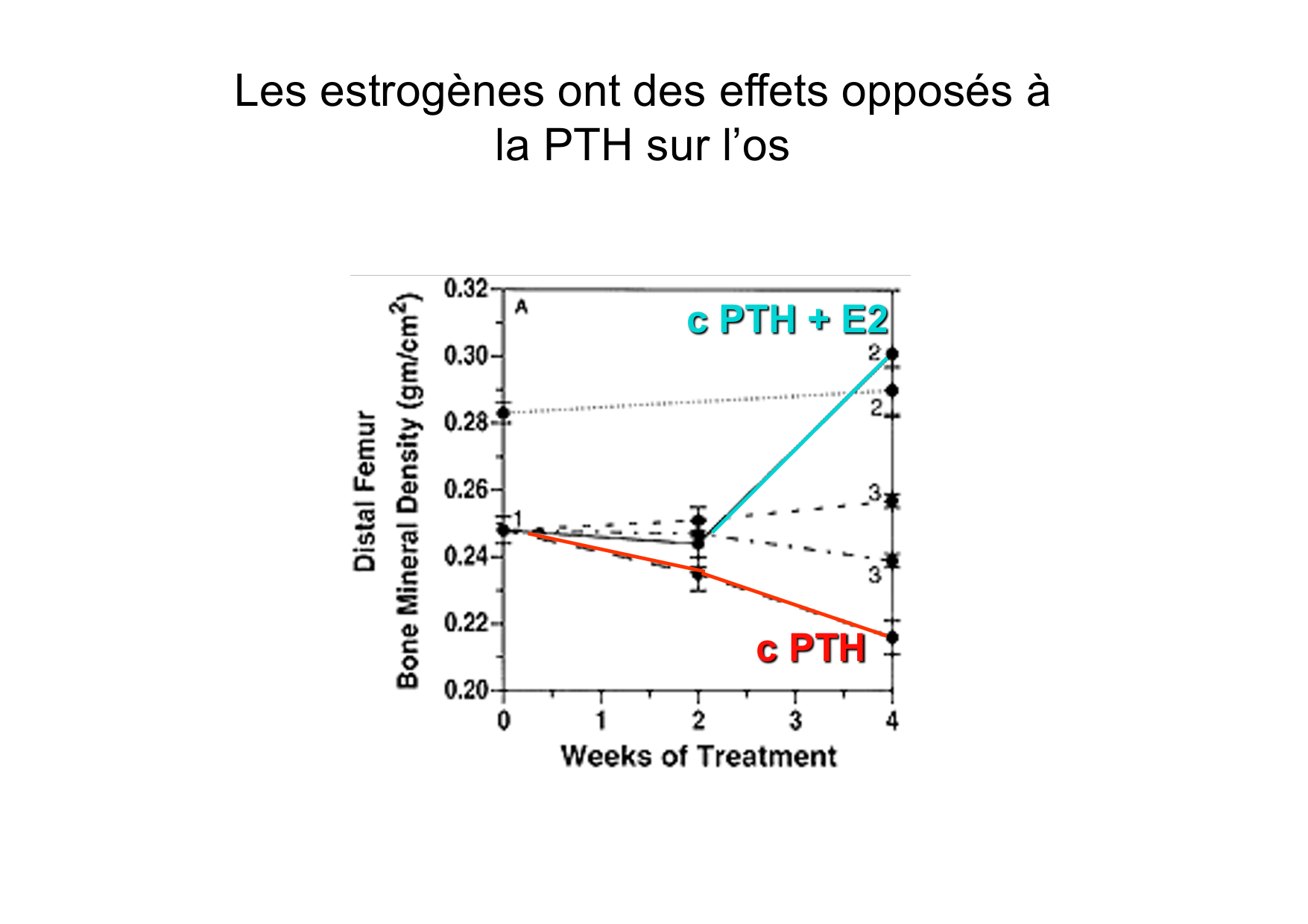 Remodelage osseux page 47