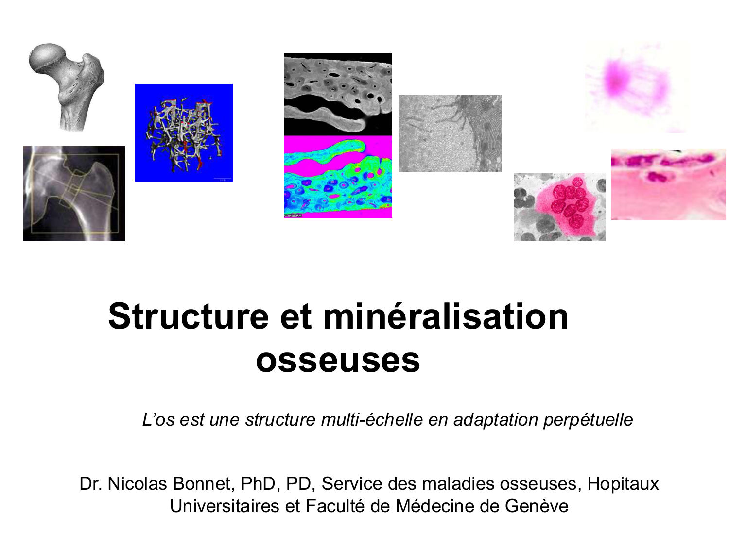 Structure et minéralisation osseuses page 1
