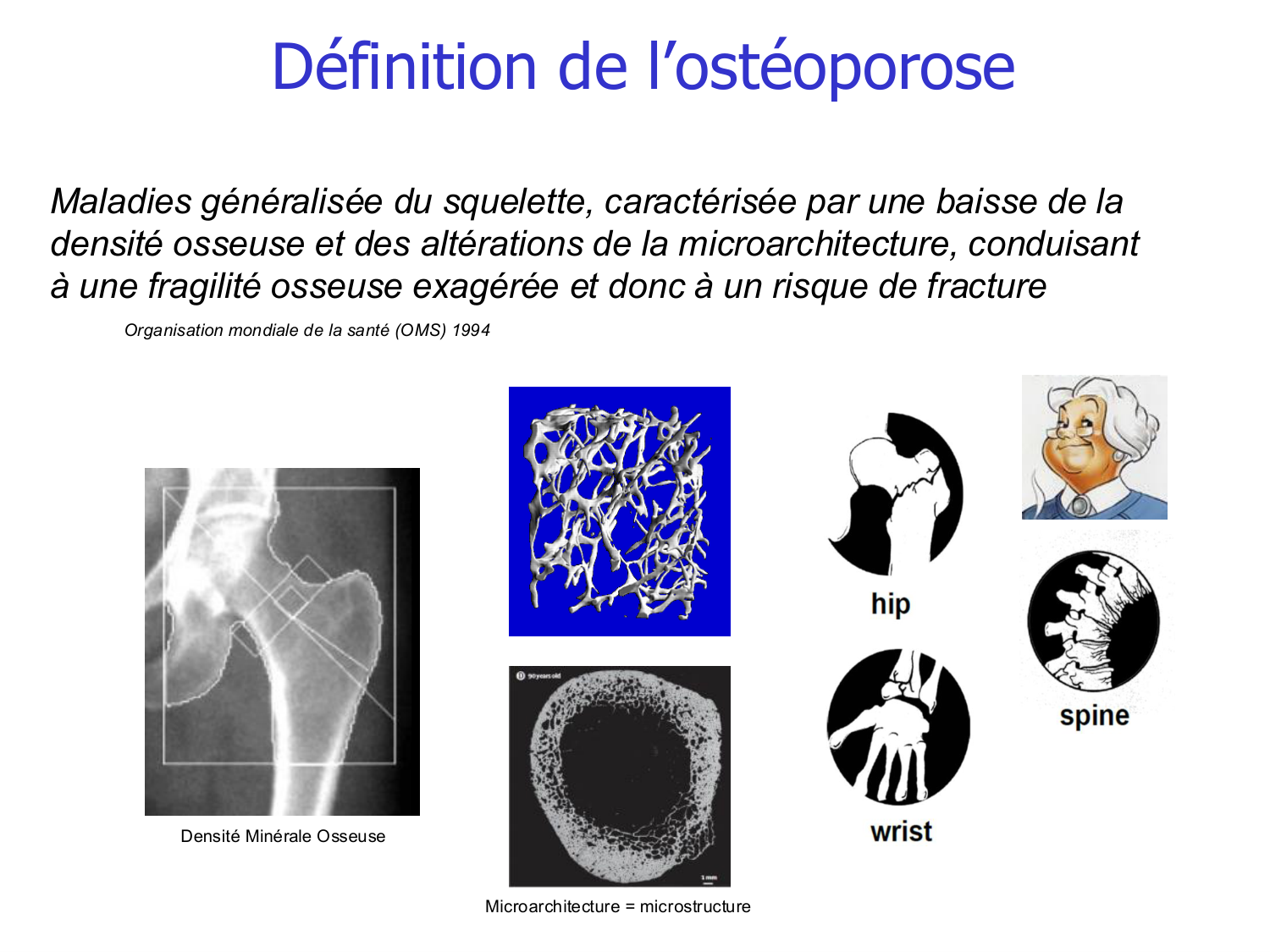Structure et minéralisation osseuses page 2